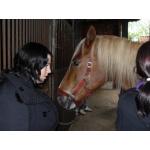 Reiten-1_2010.JPG
